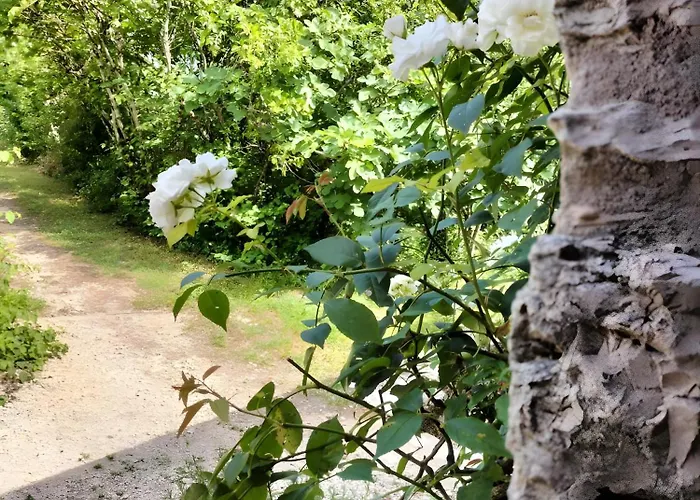 Le Soupadou - La Framie *